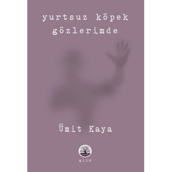Yurtsuz Köpek Gözlerimde