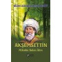 Akşemsettin