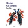 Başka Gökyüzü